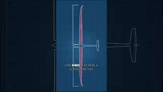 Why Do Gliders Have Long Wings