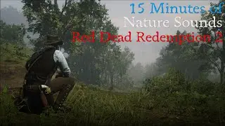 RDR2 15 Minutes of Nature Sounds