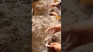 Smashing🔨#asmr #shorts #short #sandcement #smashing #cement #concrete #crumbling #viral #dusty