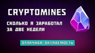 CRYPTOMINES - Какой Заработок и Окупаемость | Сколько Мне Удалось Заработать за Две Недели