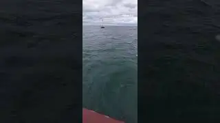 BLUE WATER OF UK 🇬🇧 AND VERY COLD 🇬🇧 #shortvideo #uk