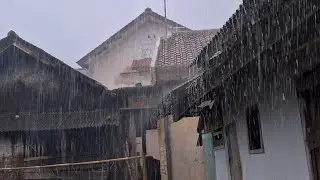 Тихая деревенская крыша под непрекращающимся тропическим дождем 🌧️ | Без грома, чистая атмосфера