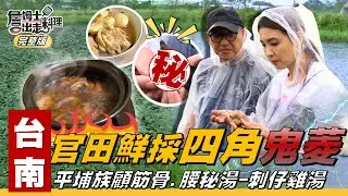 《詹姆士出走料理》台南｜菱角田驚現「四角鬼菱」？！脆Q保鮮秘技大公開，菱角豬腳湯神美味！平埔族「刺子雞湯」顧筋骨暖腰，探班瓦斯工人送禮剛剛好！韋汝滾瓦斯桶偷吃步被抓包！-第344集-2026/1/25