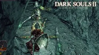 Dark Souls 2: Scholar Of The First Sin - [Part 62] The Cave Of The Dead (DLC) - No Commentary