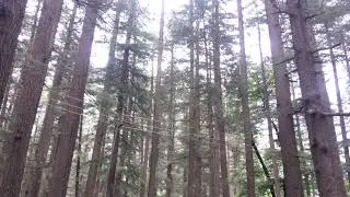 Hampta Pass Baralacha Trek | 2018 | Raw Travel Video