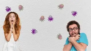 (2023) Randi Rain's Wacky Wall Walkers