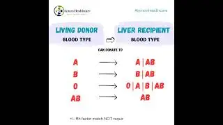 Donor Blood Match for Living Liver Transplant |  Iymon Healthcare