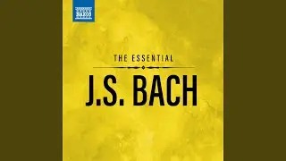 Mass in B Minor, BWV 232: XXVII. Dona nobis pacem (Remastered 2023)