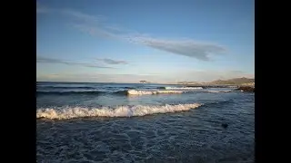Salpa e Spigole all'alba