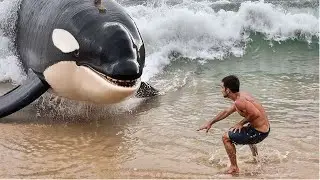 Incredible Moments  Of Peoples Caught on Camera P040 | Best Oddly Satisfying Video.