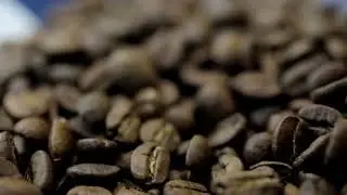 Green Coffee Company - Disrupting the Colombian Coffee Industry