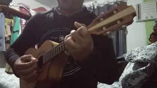 Cavaco Lisboa Luthier Cedro venda informa&ccedil;&otilde;es: (91)98061-3051 (ZAP)