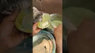 South Indian idli famous #south#indian#idli#famous #asansol #durgapur