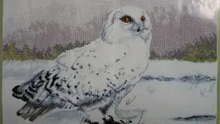 Broderie in cruciulițe. Săptăm&acirc;na nr 87.  Ciarivna Miti, Bufnita polara.
