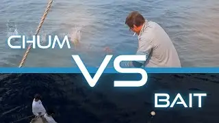 Jaws Chum vs OCEARCH Bait | Shark Science Myths vs Reality