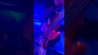 HAVANA1950 #beat #music #live #guitar #groove #jazz #bass #hiphop #rock #music #popular