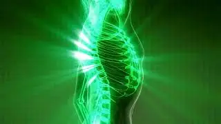 3 Minute Brain & Body Reset &bull; 432Hz Healing Frequency