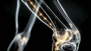 Osteoarthritis Pain Relief | Joint Pain & Bone Healing | 15 Min Isochronic Binaural Beats