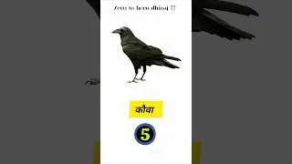 कौवा को इंग्लिश में क्या कहते हैं | #youtube #gk #youtube shorts