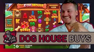 DOG HOUSE MEGAWAYS 🐶 | Endlich wieder abgehen 🚀 | Freegames High Stakes 🎰 | Casino Highlight