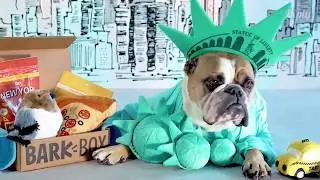 BarkBox - All you need to Know 2018