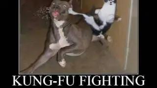kung fu fighting by crazy frog