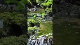 Relaxing Soul Music For Deep Calm & Stress Relief #calmmusic #relaxingmusic #soulmusic #stressrelief