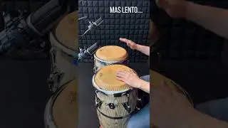 CONGAS | Latin Jazz AFRO Pattern🔥🔥✅👌 #shorts #congas #percussion