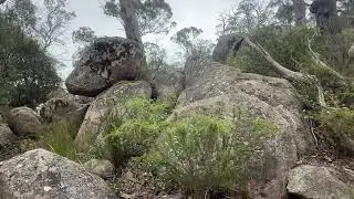 2026Cathedral Rock National Park