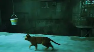 Stray :  The kitten game RTX 550/  2 GB/  8 RAM