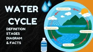 Water Cycle in Hindi | Definition | Stages | Diagram | Facts with PPT