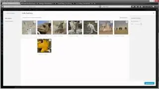 WordPress Image Gallery Divi
