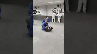 defesa de armlock na guarda