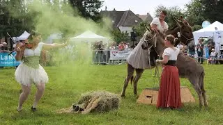 VLOG | La 1ère édition de FESTIV'ÂNES !