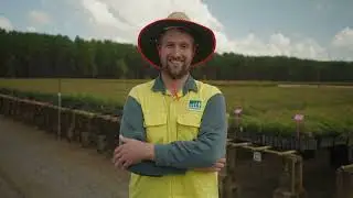 Part  1    Welcome to the modern world of Queensland's forest and timber industry