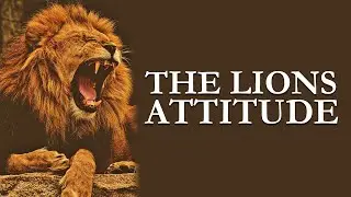 LIONS Attitude - Growth & Confidence Mindset | Powerful Motivation Speech