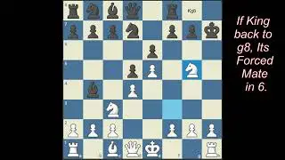 Greek Gift Sacrifice in French Defense