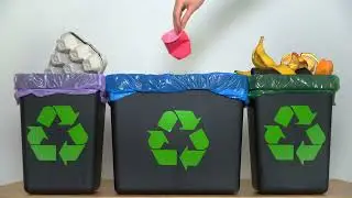 The problem of waste disposal in japan