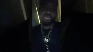BigTom - Birds preview