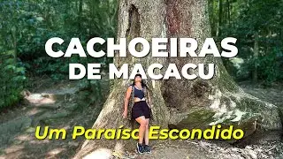 AVENTURA e NATUREZA: Descubra os Segredos de Cachoeiras de Macacu!