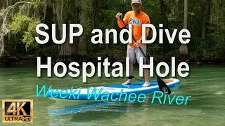 SUP Paddle Adventure to Hospital Hole on the Weeki Wachee River! 4K