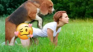 #new indian girls & Russian dog full meeting 💦 #dogs meeting girls video 2023 HD video com