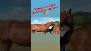 Plume a peut-&ecirc;tre trouv&eacute; SA marraine !!🎉
