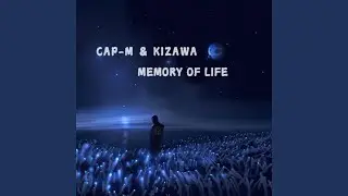 Memory Of Life