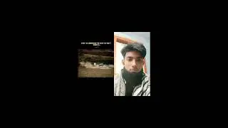 Shorts video #fishing #bassfishing #fisherman #carp #fish #song #eidmubarak #love #music #coversong