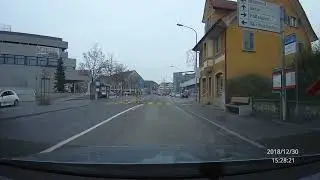 cat crossing the street using a pedestrian crosswalk