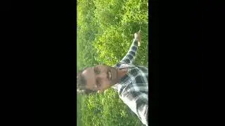 @trecatr lovar Mp 70 खेत का वीडियो #shortvideo #music #song #farming 