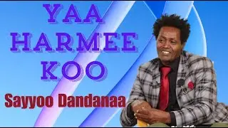 Sayyoo Dandanaa - Yaa Jorroo Koo | Old Oromo Music