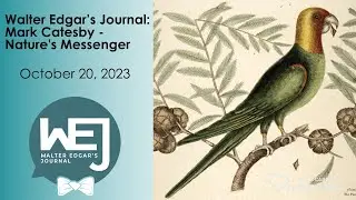 Mark Catesby - Nature's Messenger | Walter Edgar's Journal Podcast