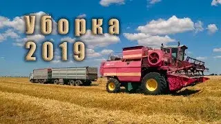 Уборка озимого ячменя 2019! Дон 1500А.